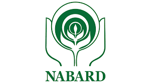 NABARD Group C Result 2020 declared for prelims, main, download your scorecard here