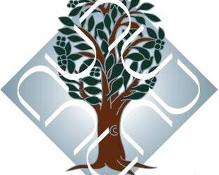 Ambedkar University, Delhi announces UG and PG Admissions 2021 schedule