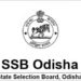 Odisha SSB Lecturer recruitment admit card released, click here to download it now